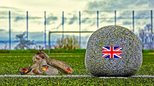 凭借顽强的 凭借顽强的