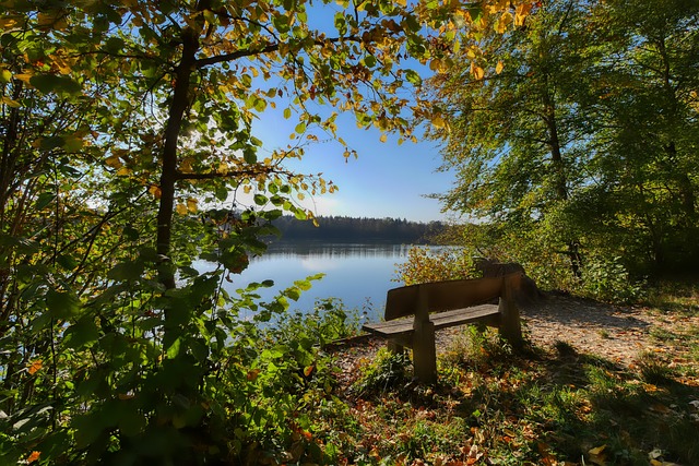 瓦倫總監：搞砸簽約哈維-格拉，馬競CEO還得來道歉.
