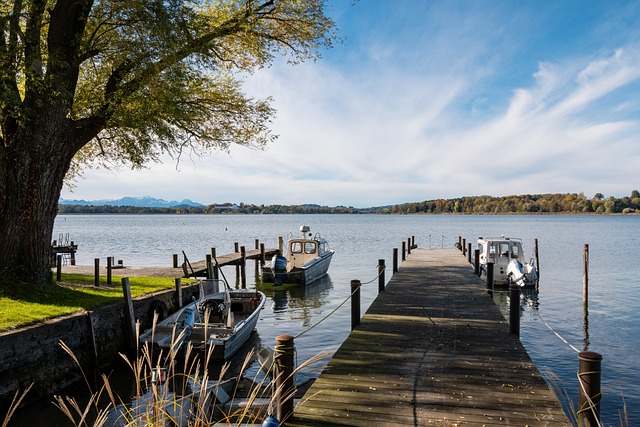 这场比赛不 这场比赛不