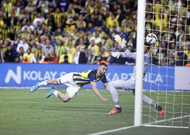 成功从悬崖 成功从悬崖