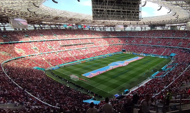 人才引进 人才引进